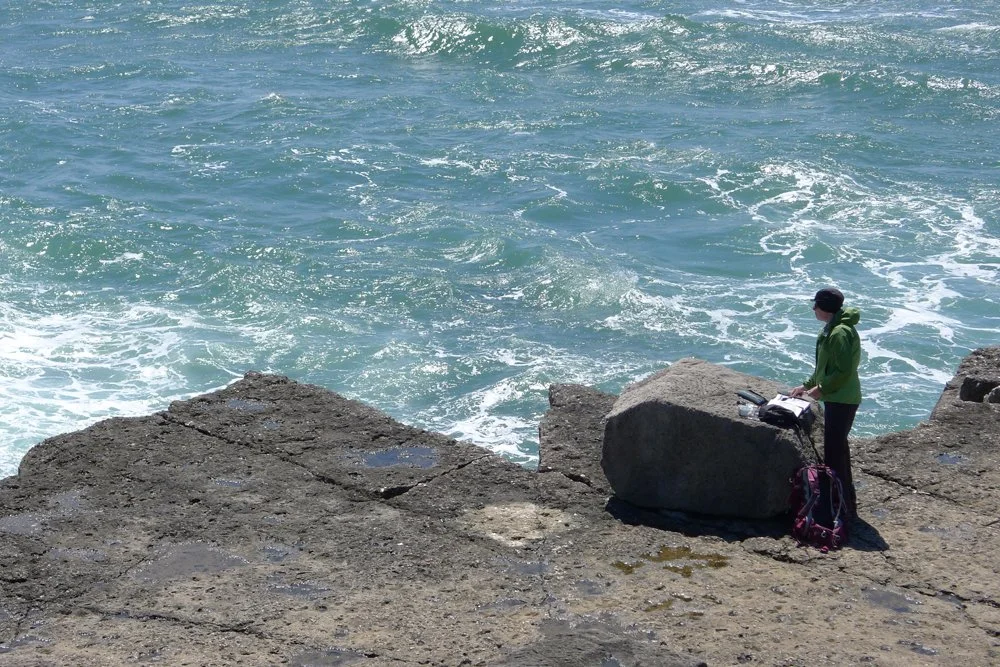 Outline South West — Anita Reynolds